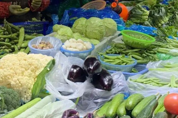 金山時(shí)鮮蔬菜價(jià)格如何？一起來看→