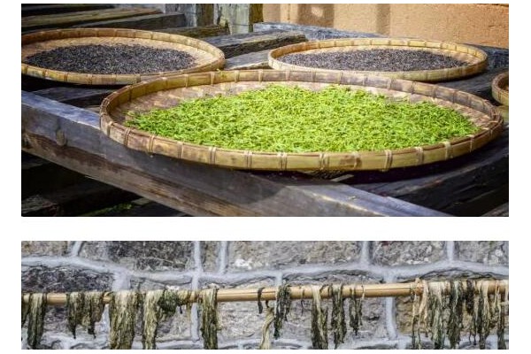 這4種廉價(jià)蔬菜曬干后，營養(yǎng)翻10倍！放1年不